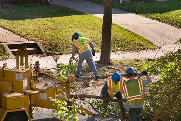 Best Tree Health Inspection  in Suquamish, WA